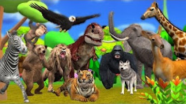 Animal Sounds Video For Kids